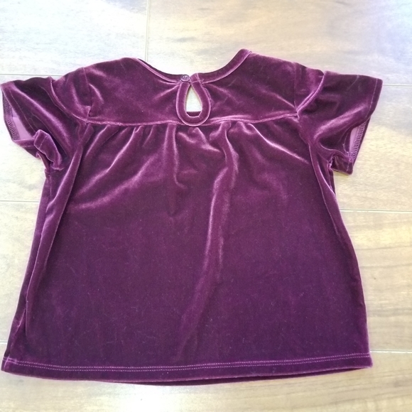 AG Adriano Goldshmied Little Girls Velvet Top 2T - Picture 3 of 8